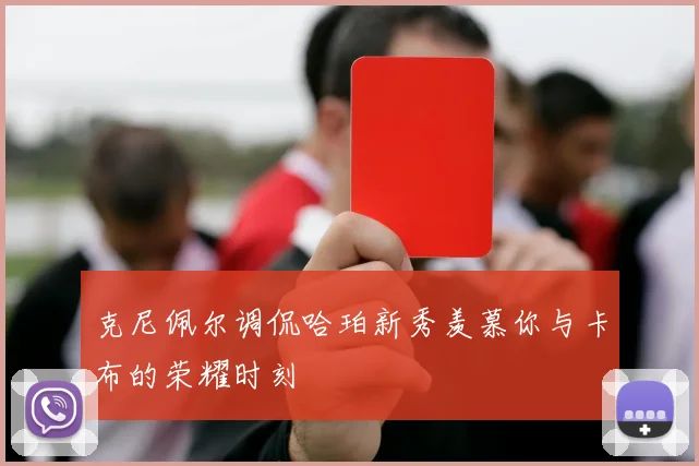 克尼佩尔调侃哈珀新秀羡慕你与卡布的荣耀时刻