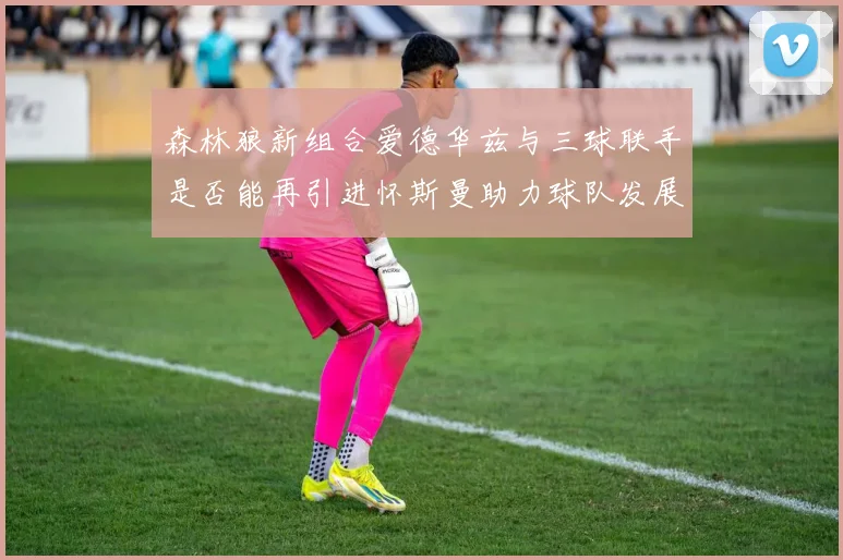 森林狼新组合爱德华兹与三球联手是否能再引进怀斯曼助力球队发展